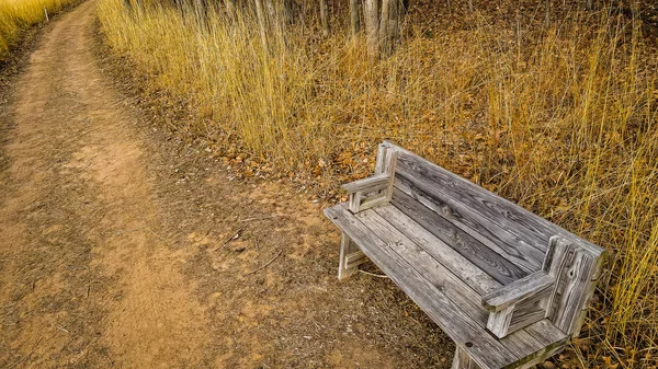 天気の良いハイキングトレイルベンチは芝生の道に一人で座っています その後ろの森の端に高い草 — ストック写真