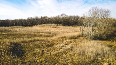 Sonbaharda mavi gökyüzü olan doğal çayır.