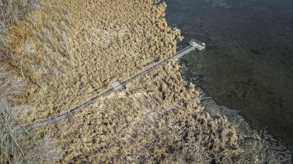 Sendero Natural Dirige Hacia Pequeño Lago Pantano Con Una Superficie — Foto de Stock