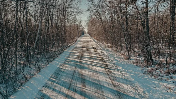 雪に覆われた未舗装の道路で 太陽が木を通して輝いている — ストック写真