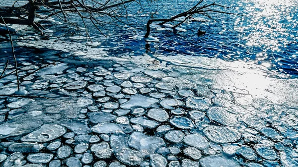 떨어진 나무는 얼음처럼 차가운 무늬를 햇살을 받으며 떨어집니다 — 스톡 사진