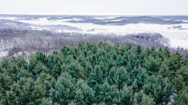 Sabahın erken saatlerinde tepeler ve çamlarla kaplı kış manzarası.