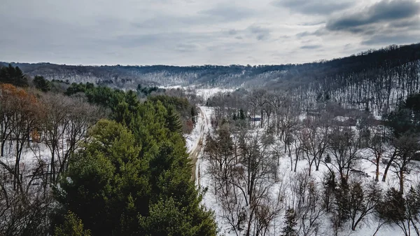 Bulutlu Bir Kış Günü Tepeler Bir Sıra Güzel Çam Ağaçları Telifsiz Stok Imajlar