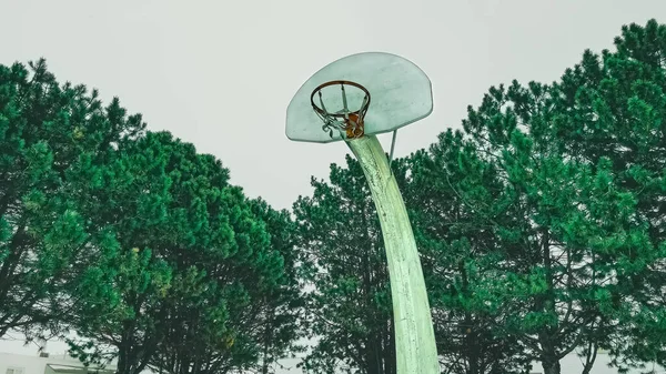 Situato Nella Porzione Del Centro Collo Campo Basket Con Lungo — Foto Stock