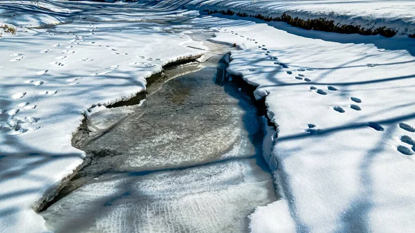 冬の雪に覆われたストリーム上の破壊氷の棚に続く動物のトラック — ストック写真