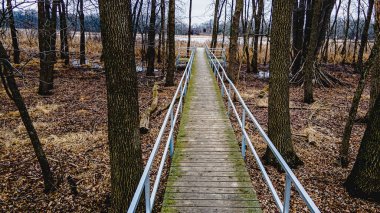 Bahar yaklaştıkça buz ve kar erimeye başlıyor. Vahşi doğanın doğal bir görüntüsü..