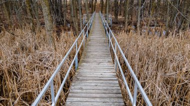 Bahar yaklaştıkça buz ve kar erimeye başlıyor. Vahşi doğanın doğal bir görüntüsü..