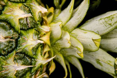 Bir ananasın doku ve desenlerine yakın çekim