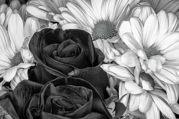 这朵花中的玫瑰和雏菊 — 图库照片