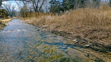 Bölgede kar eridi ve bu dere Wisconsin kırsalında bahar mevsiminde dolup taştı.