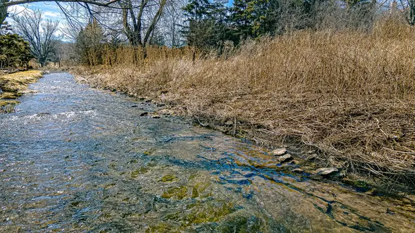 Bölgede kar eridi ve bu dere Wisconsin kırsalında bahar mevsiminde dolup taştı.