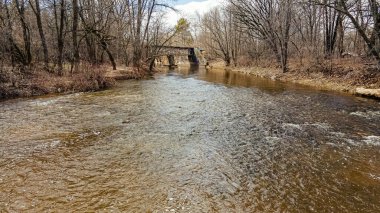 Su artık donmuş değil. Nehir, akan suyla açıktır. Ormandaki ağaçlar hâlâ çıplak. Ama bahar geldi ve kış geçti.