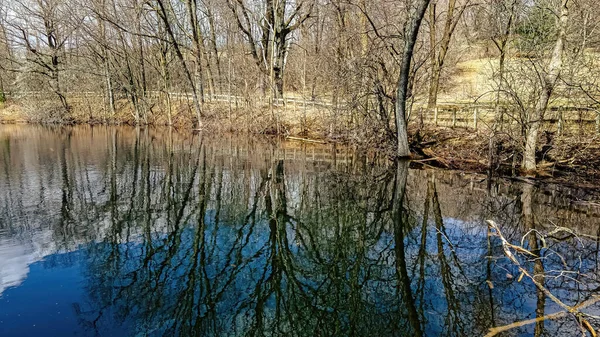 Die Bäume Sind Noch Kahl Das Wasser Ist Nicht Mehr — Stockfoto