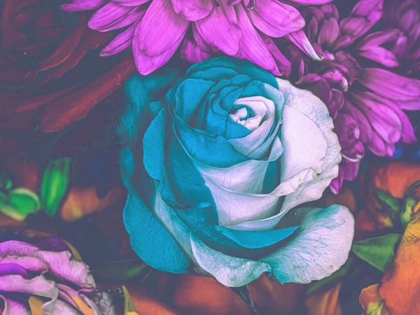 Mixture Flowers Mixed Cosmic Roses — Photo