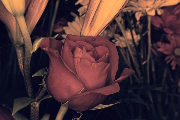 一朵红玫瑰被黄色的主题的其它花朵环绕着 — 图库照片