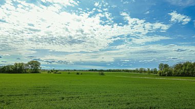 Kış geçti ve şimdi ülkeye renk geldi! Yeşil ağaçlar, çimenler ve mavi bir gökyüzü!