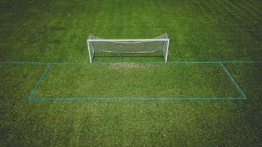 Yerel bir parktaki futbol sahalarında taze yeşil çimenler yetişiyor.