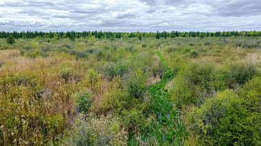 Wisconsin kırsalındaki doğal bir çayırda eski çimenli bir yol uzaktaki eski bir av ağacına çıkar.