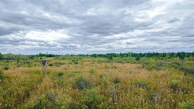 Wisconsin 'in vahşi doğasındaki kırsal bir çayırda eski bir av durağı duruyor.