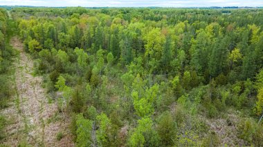 Vahşi doğada eski bir kamu hizmetleri treniyle bahar sezonu