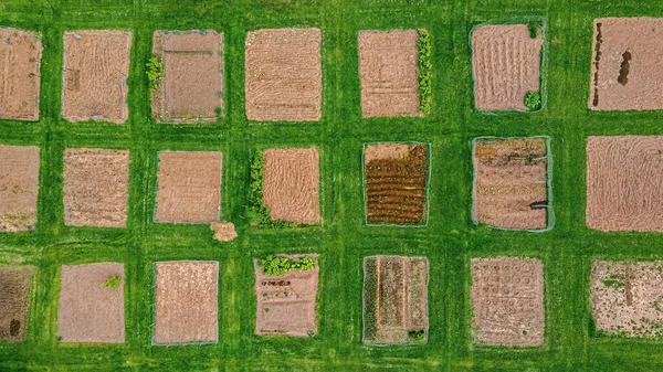 Public City Park Community Gardens Aerial View Spring Crops Slowly — Stok fotoğraf