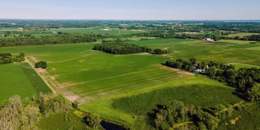 A hot summer day with a clear sky showing rural wisconsin farm fields