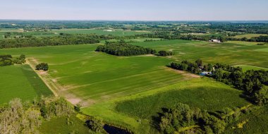 A hot summer day with a clear sky showing rural wisconsin farm fields