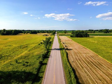 Summertime scene with farm fields on both sides of the small road