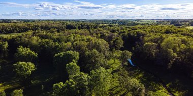A summertine scene in the wilderness with a small stream flowing through the woods