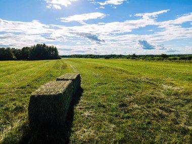 A freshly cleared farm field used for bales of hay