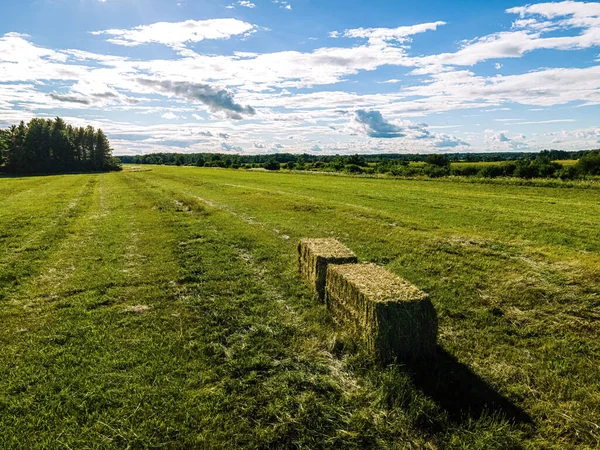 Freshly Cleared Farm Field Used Bales Hay — Fotografia de Stock