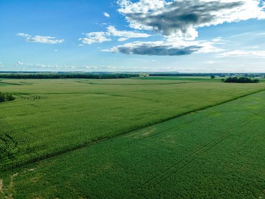 A wide open view of summer farm fields in rural wisconsin
