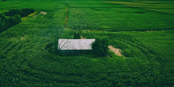 Вісконсинська Ферма Літній Час Зверху — стокове фото