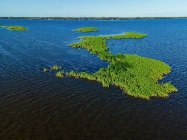 During summer in wisconsin on the fox river this tiny amount of land shows green growths and a potential hazard to boats