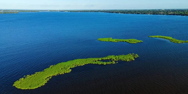 Small growths of reeds make the appearance of small islands with vibrant green color. A boat passes nearby these shallow water growths