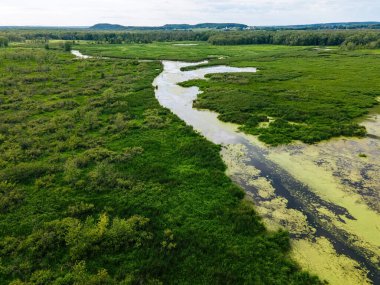 A view where mainkind has not touched in wisconsin during the summer.