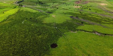 A large field out in the rural area of Wisconsin with a large group of cows