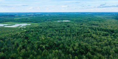 A view where mainkind has not touched in wisconsin during the summer.