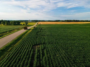 Late in the day a tractor pulling hay down a empty rural road in wisconsin farmland