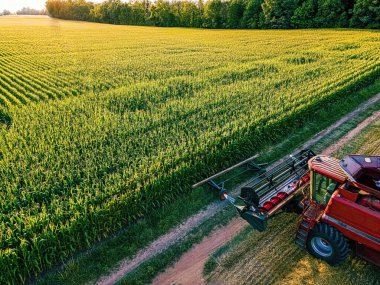 Sun sets in the far ditance creating a warm glow over the field at the end of the day on a wisconsin farm