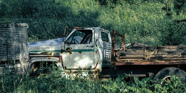 An old pickup truck abandoned surrounded by overgrowth