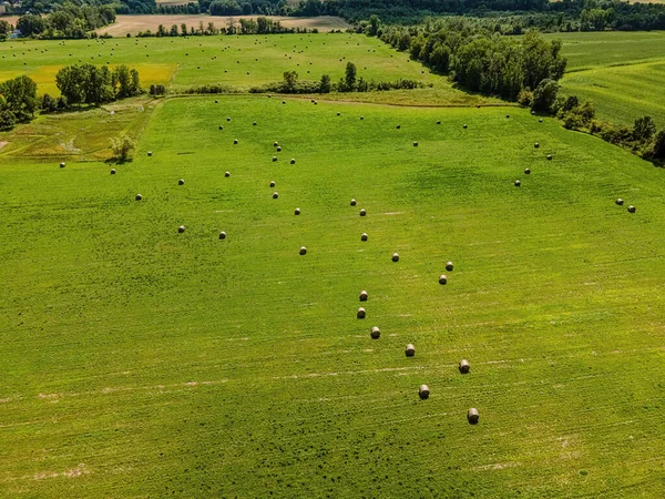 Drone overlooks a field of freshly baled grass to send to farms as hay later. Wisconsin summer.