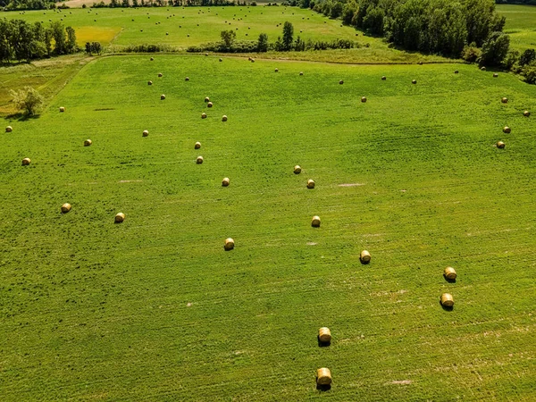 Drone overlooks a field of freshly baled grass to send to farms as hay later. Wisconsin summer.