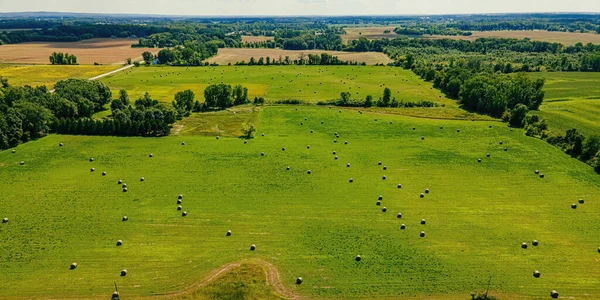 Drone overlooks a field of freshly baled grass to send to farms as hay later. Wisconsin summer.