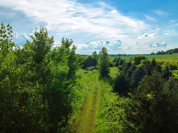 Issız Issız Bir Manzara Uzak Bir Patika Wisconsin Kırsalında Vahşi — Stok fotoğraf