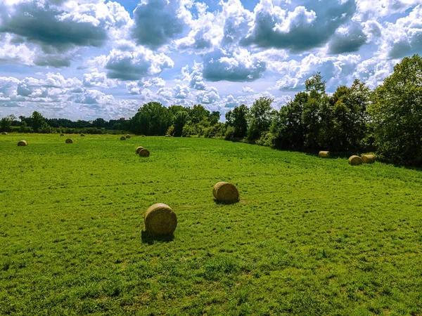 Fardos Feno Frescos Enrolados Campo Fazenda Wisconsin Rural — Fotografia de Stock