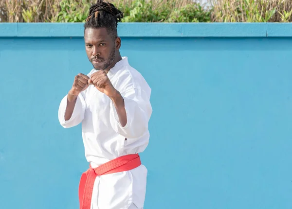 Framsidan Ung Afroamerikansk Man Utbildning Taekwondo Utomhus Blå Bakgrund Kampsport — Stockfoto