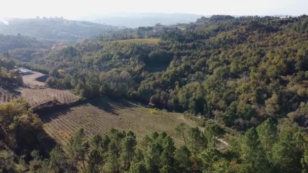 Bergheuvels wijngaard zonsondergang uitzicht — Stockvideo