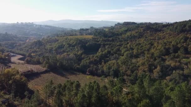山の古いブドウ畑の村の眺め — ストック動画