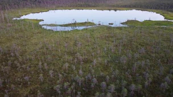 Träsk mosse sjö skog mark video — Stockvideo